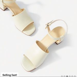 Everlane Block Heel Sandal